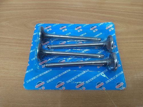 Впускной клапан ED480 / QC480 (Комплект на двигатель 4шт)