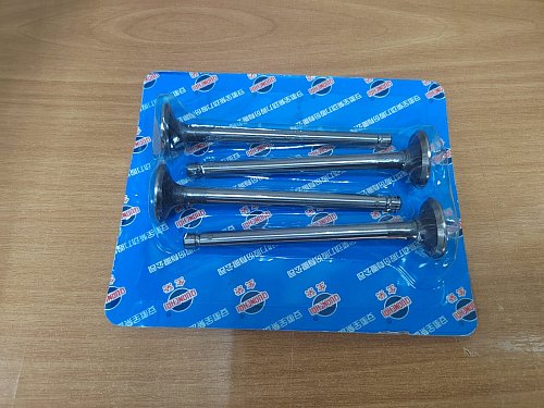 Впускной клапан ED480 / QC480 (Комплект на двигатель 4шт)